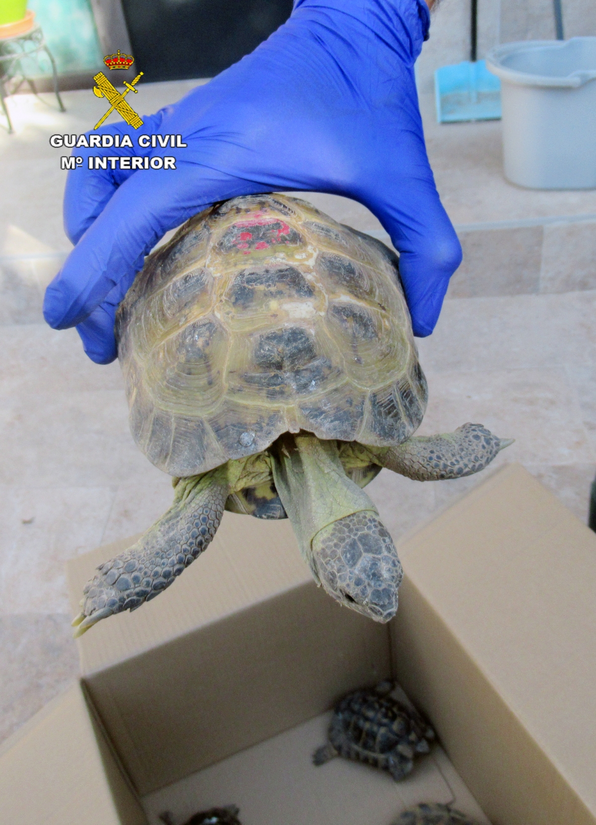  - Foto: GUARDIA CIVIL