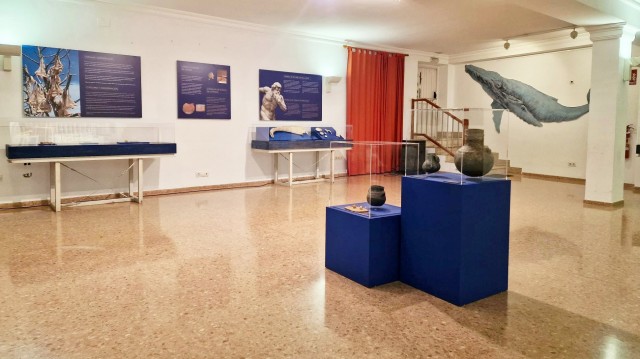 El Museu de Prehistòria de València lleva a Ràfol de Salem una exposición sobre las sociedades pasadas