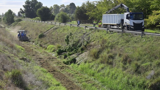 València inicia la limpieza del barranco del Palmeret y critica la inacción de la CHJ