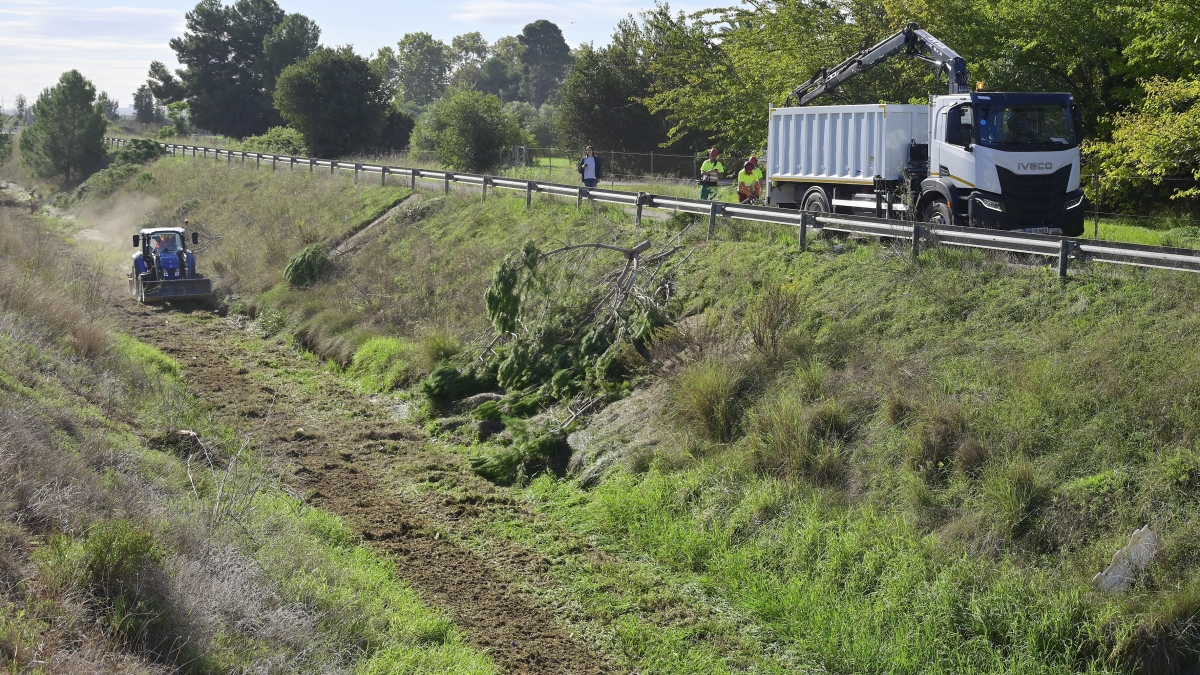València inicia la limpieza del barranco del Palmeret y critica la inacción de la CHJ