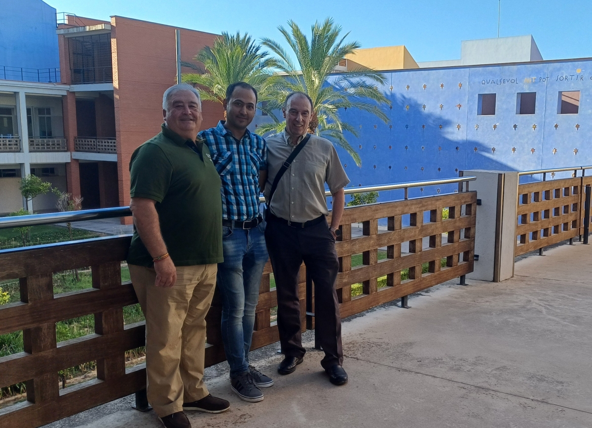 Investigadores de la UPV diseñan una aplicación para el diagnóstico autónomo de patologías en los naranjos 