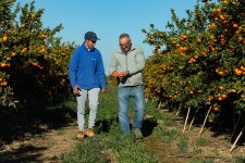 Benihort cultiva su mejor momento: récord de negocio, más socios y una apuesta por crecer desde el campo