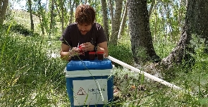 Una investigación rastrea el origen del 'mosquito del metro' y arroja luz sobre la transmisión de la Fiebre del Nilo