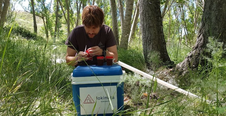 Una investigación rastrea el origen del 'mosquito del metro' y arroja luz sobre la transmisión de la Fiebre del Nilo
