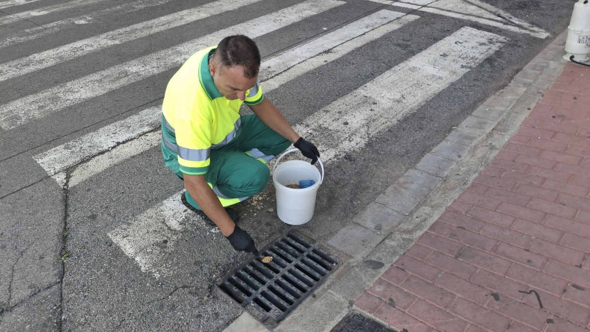 Vila-real intensifica los tratamientos contra los mosquitos tras las últimas lluvias de octubre