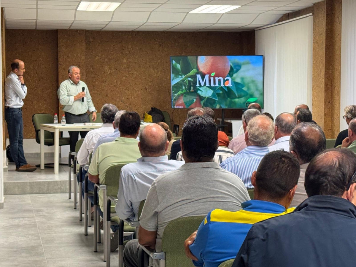 Presentan en Murcia 'Mina', una nueva mandarina adaptada al cambio climático para 'reinventar' la citricultura