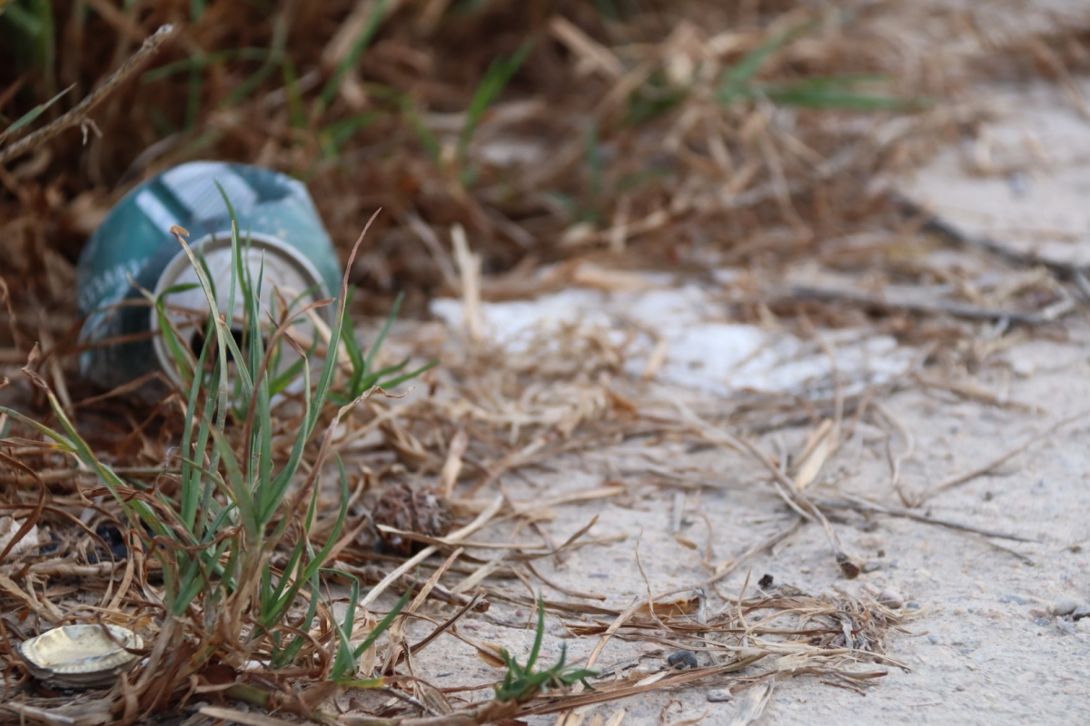 El PSOE de Lorca denuncia 