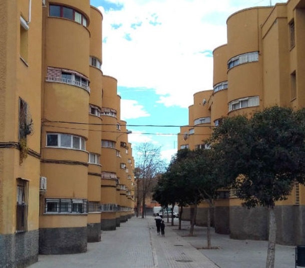 El barrio de Los Palmerales de Elche