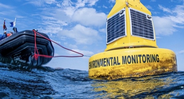 La huida de fauna de la zona sur del Mar Menor ante la falta de oxígeno hace saltar la alarma