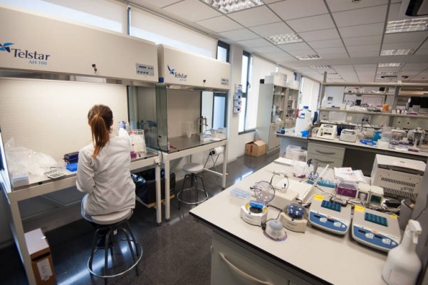 La ilicitana Bioarray se integra en el grupo alemán Certania y reforma su estructura