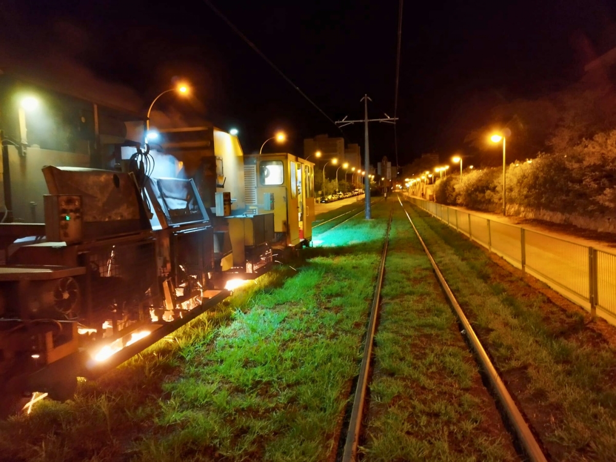 FGV inicia los trabajos de mantenimiento de vía en las líneas 1, 2 y 4 del tram sin interrumpir el servicio