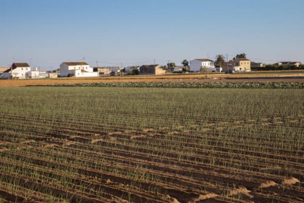 El Carraixet o la historia oral de Sedaví son dos de los 74 proyectos europeos valencianos subvencionados