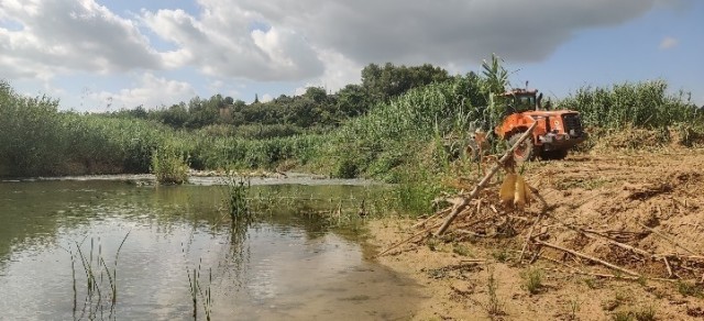 Vilamarxant recupera la ribera del Túria afectada por la Dana