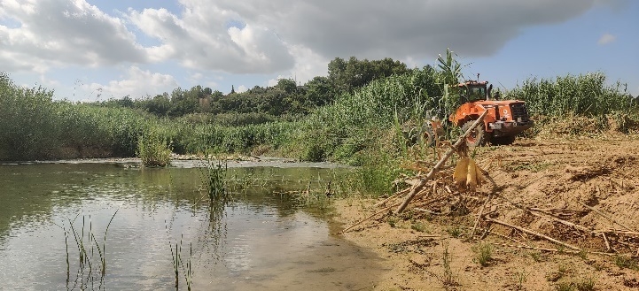 Vilamarxant recupera la ribera del Túria afectada por la Dana