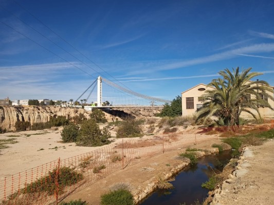 El vuelco de agua regenerada en la Acequia Mayor de Elche permitirá regar con ella todos los huertos Unesco