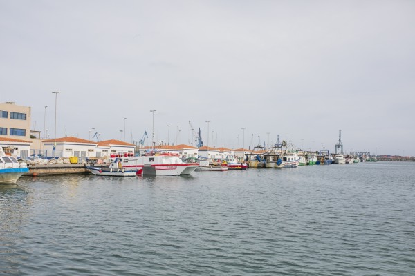 PortCastelló se alía con la Fundación Ecoalf y Ecoembes para fomentar la lucha contra la basura marina