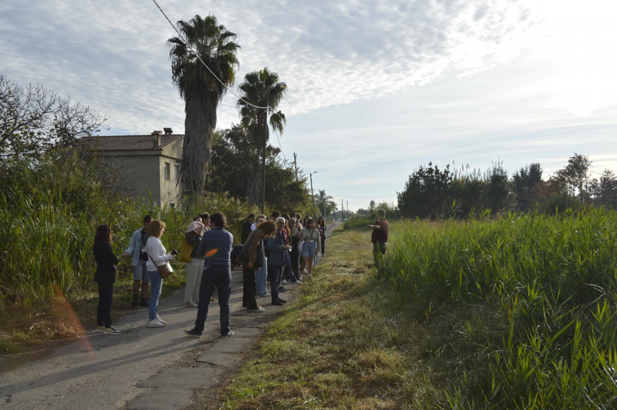 De la renaturalización a la gestión del agua: la UJI impulsa soluciones innovadoras para la Marjalería