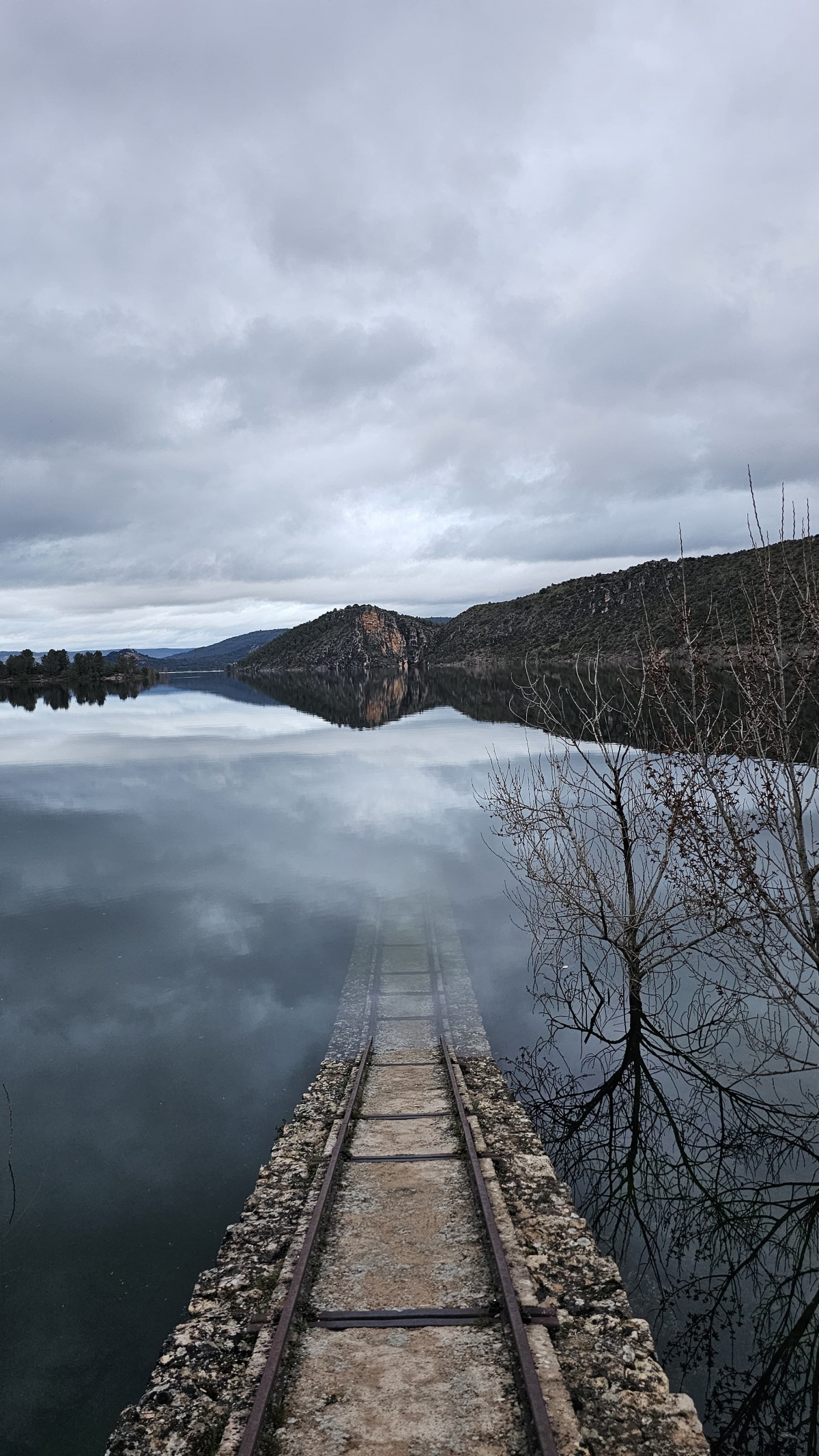 La Comisión de Explotación del Tajo Segura autoriza un trasvase de 81 hectómetros cúbicos (hm3)