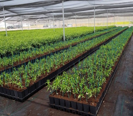 Nazca compra la empresa agrotecnológica valenciana SanSan