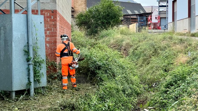 Onda activa medidas de seguridad ante la alerta de lluvia: limpia barrancos y crea un operativo policial