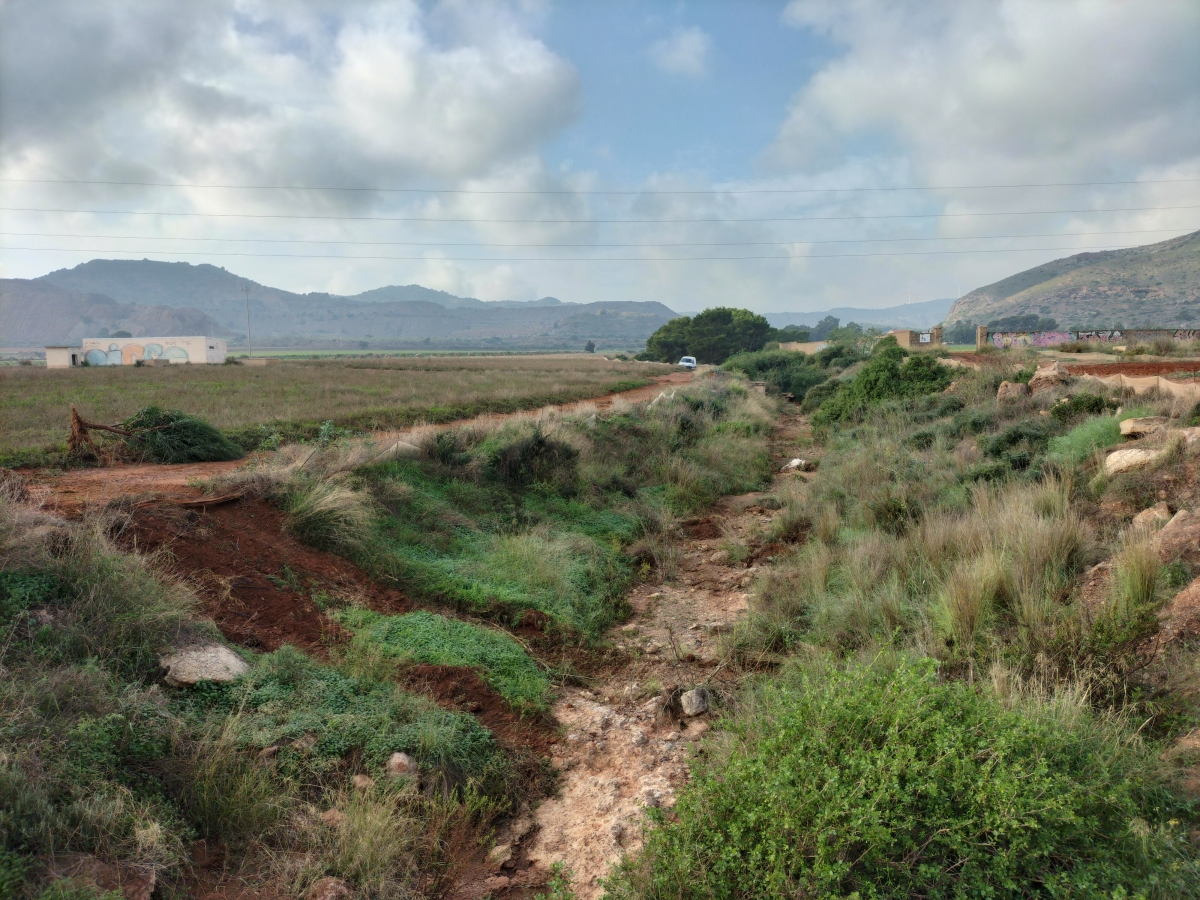 La CHS activa la expropiación urgente de 26 fincas en Cartagena para las obras de prevención de inundaciones en el barranco de Ponce y rambla de Carrasquilla