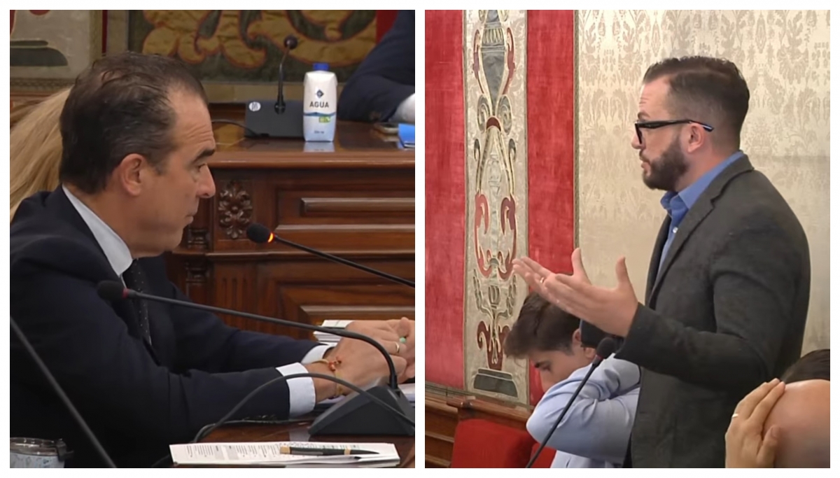 Peral y Mas, en el pleno.