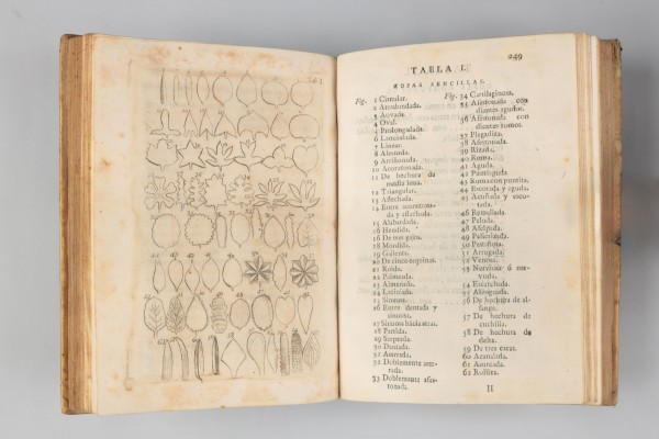 La UV revela els secrets de la il·lustració botànica dels segles XVI-XIX amb una exposició
