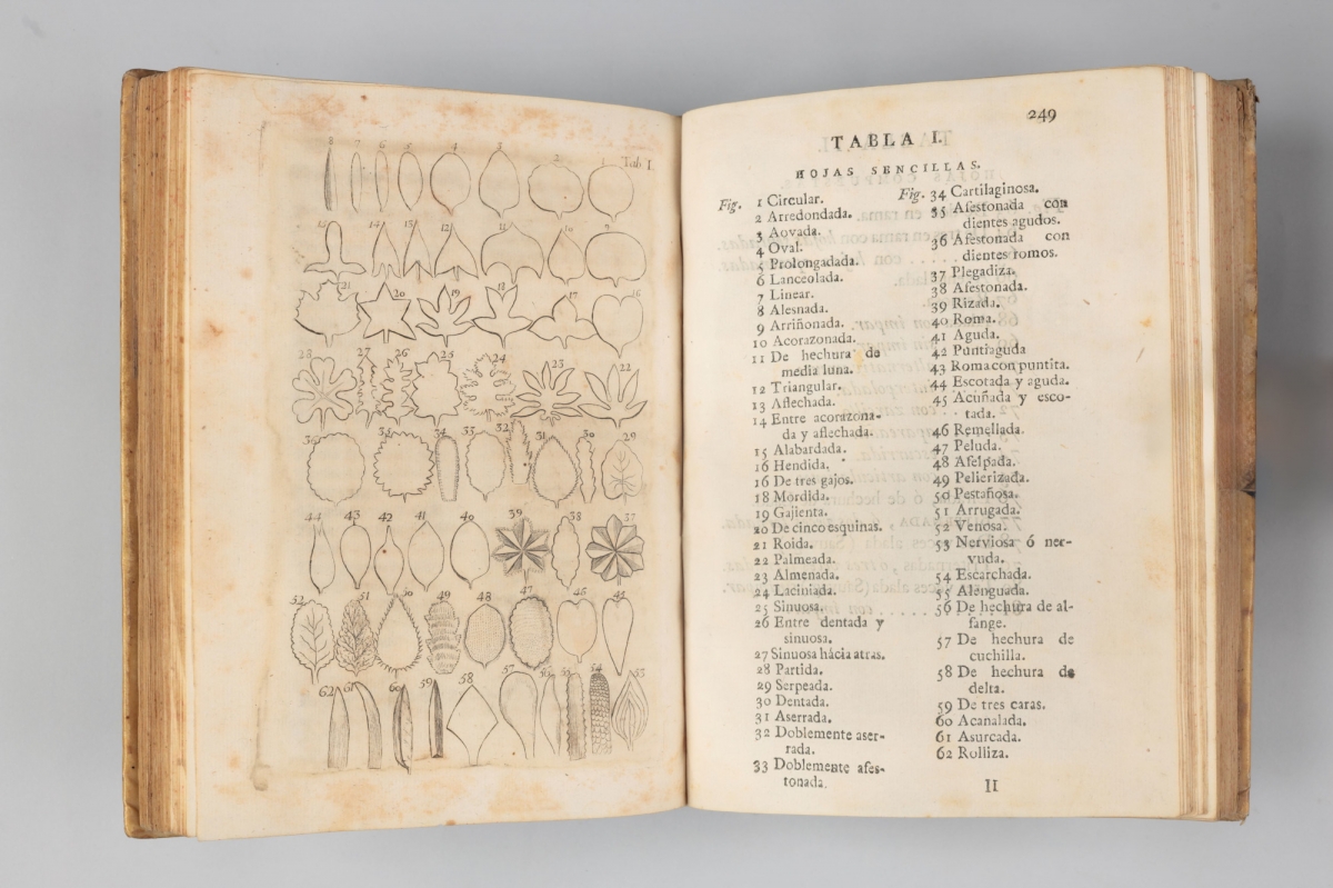 La UV revela els secrets de la il·lustració botànica dels segles XVI-XIX amb una exposició