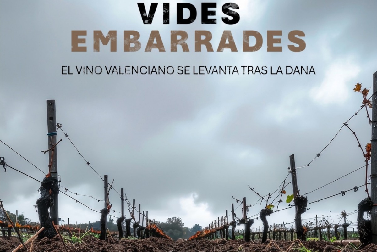 Documental «Vides Embarrades»: el vino valenciano se levanta tras la Dana