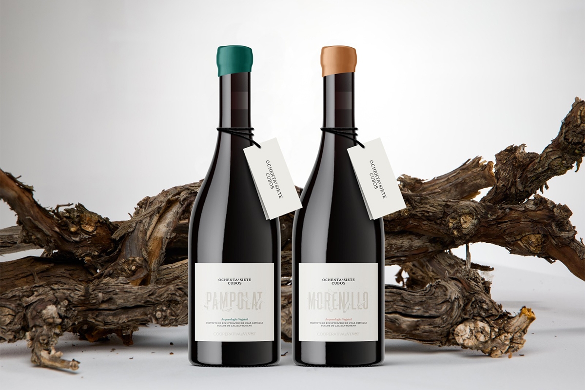 Pampolat “Ochenta y Siete Cubos”, nominado a Vino Revelación de la Guía Peñín 2026