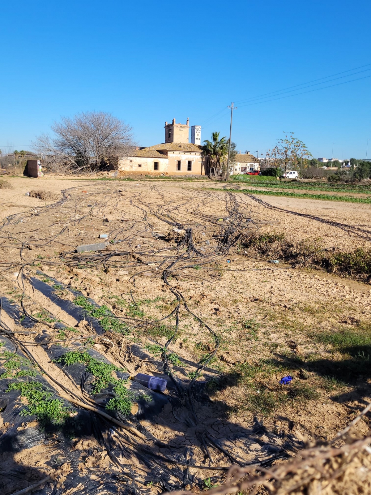 Campos arrsados  en Catarroja (Saifresc)