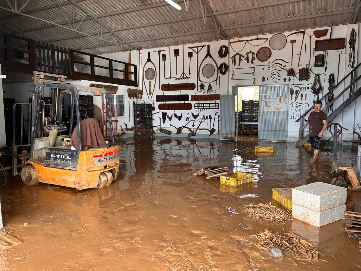 El almacén de Catarroja de Saifresc