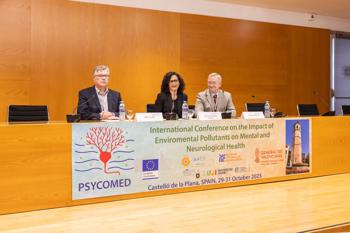 Un congreso internacional aborda en la UJI el efecto de los contaminantes ambientales en el cerebro
