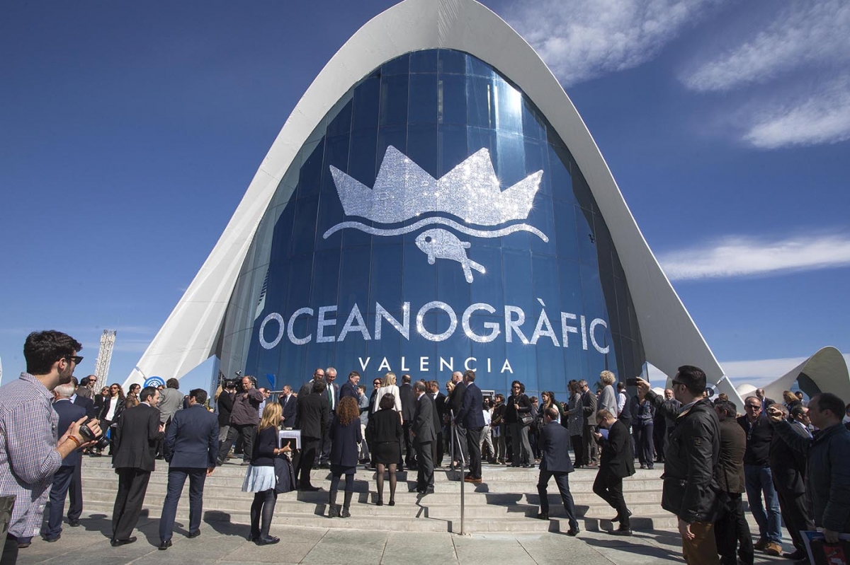 Candela o Calatrava: el mérito oculto detrás del Oceanogràfic de València