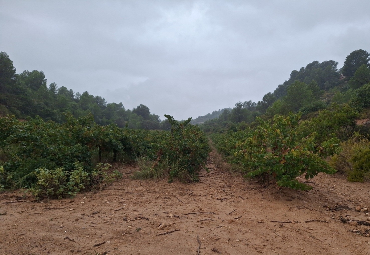 Un proyecto europeo reducirá la escorrentía y mejorará la infiltración en las cuencas del Magro y del Poyo