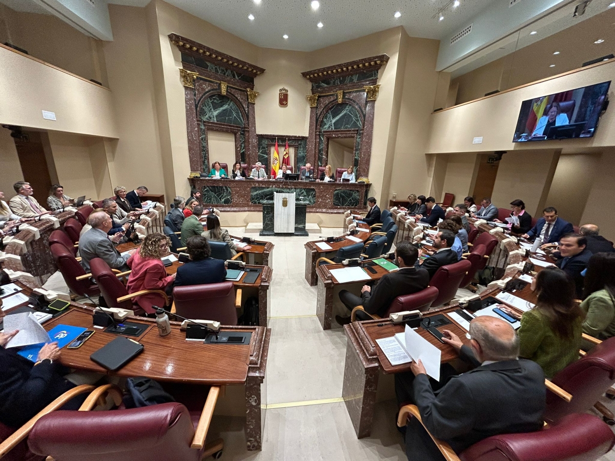 La Asamblea se personará en el Constitucional para evitar que tumben la reforma de PP y Vox sobre las ayudas a patronal y sindicatos