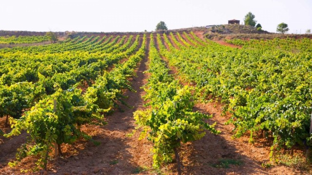 El Consell participa en el proyecto europeo Euradapt para mejorar las políticas de adaptación al cambio climático