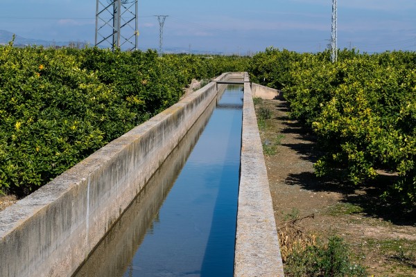 El juez de agua de Orihuela insta a los regantes a optimizar los recursos hídricos ante su escasez