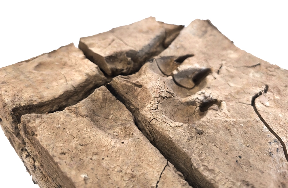 La artista Lluci Juan crea obras con el barro de la Dana