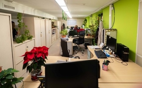 El Ayuntamiento de Alcoy se 'blinda' a los ciberataques: licita un contrato para ser más efectivo ante las amenazas