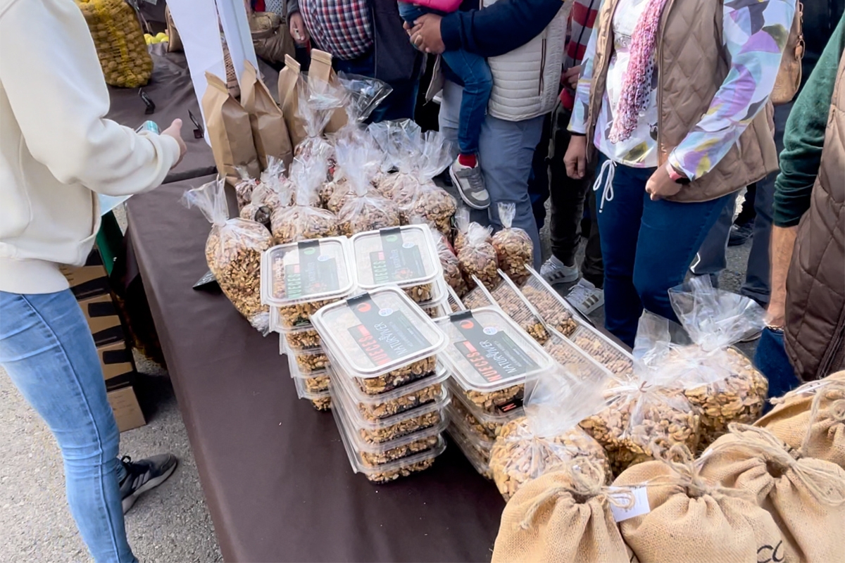 La Cooperativa de Viver celebra la Fiesta de la nuez y la almendra el próximo 16 de noviembre
