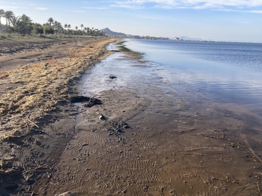 El Miteco abre el plazo para que el sector ganadero opte a ayudas de 11,5 millones para sus proyectos en las granjas del Mar Menor