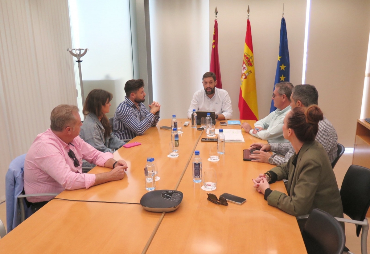 Mesa de seguimiento de alojamientos turísticos irregulares, celebrada ayer en el Instituto de Turismo. - Foto: CARM