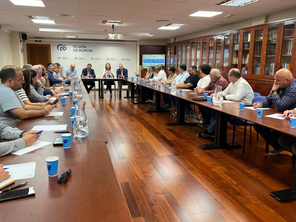 El PP inicia una ofensiva en los 45 ayuntamientos de la Región contra el 