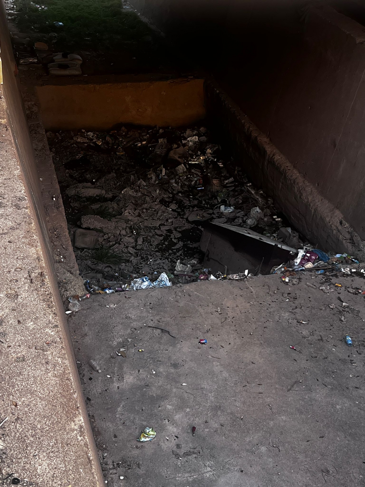  - Foto: PSOE CARTAGENA