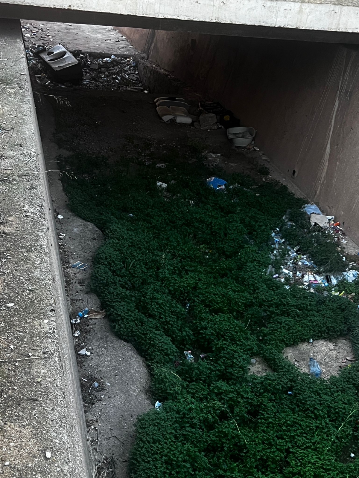 Estado de la rambla de Santa Lucía en Cartagena. - Foto: PSOE CARTAGENA Estado de la rambla de Santa Lucía en Cartagena.