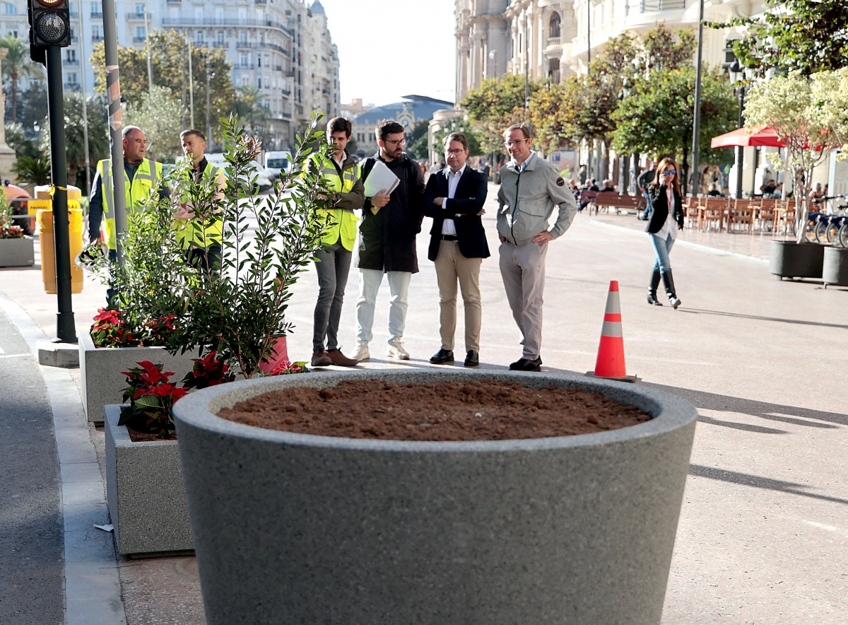 Imagen de los nuevos maceteros que ya empiezan a ocupar la plaza del Ayuntamiento. - Foto: AYUNTAMIENTO DE VALÈNCIA Imagen de los nuevos maceteros que ya empiezan a ocupar la plaza del Ayuntamiento.