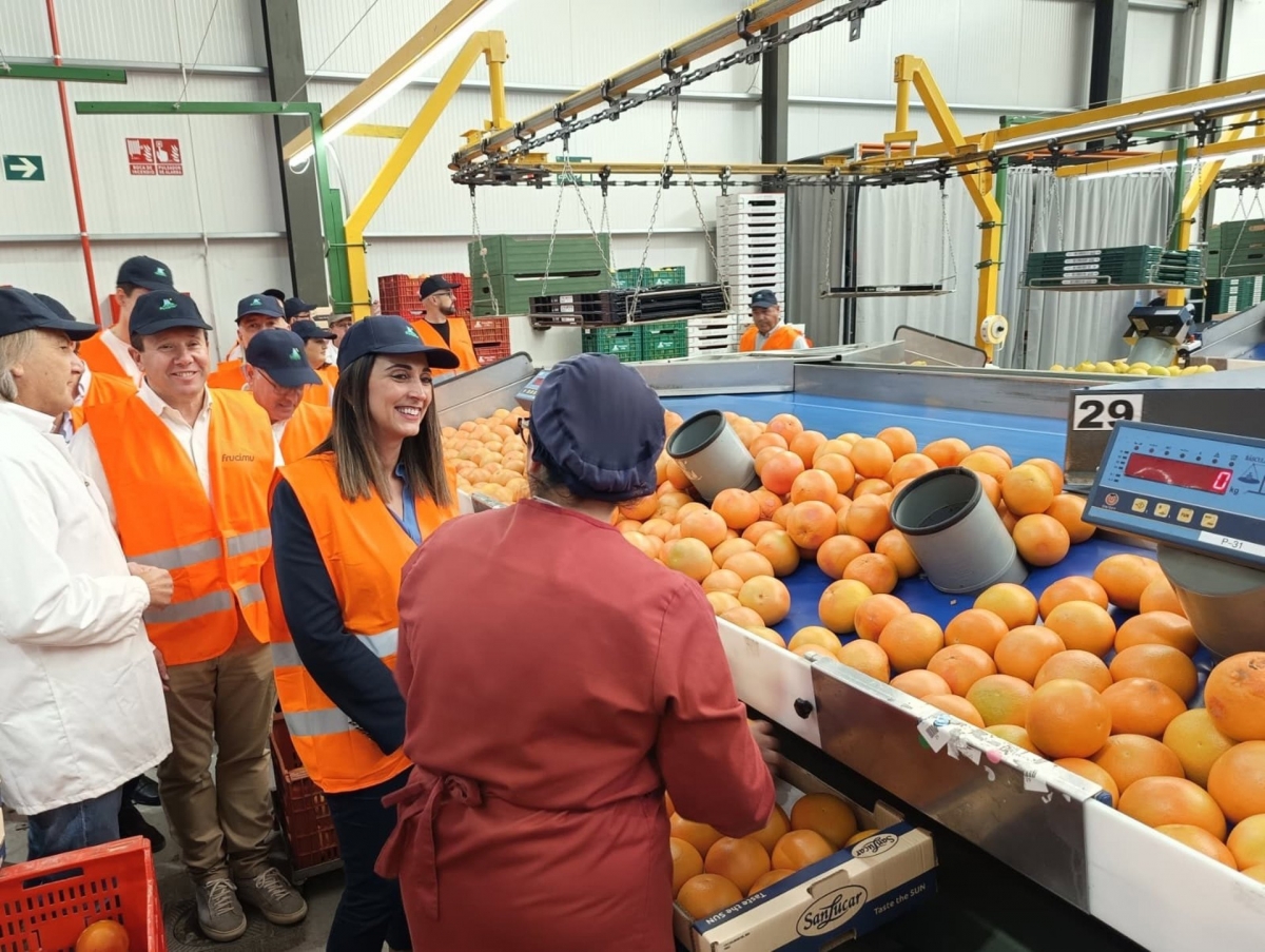 La Región de Murcia, tierra de pomelo: produce el 35% de las exportaciones de España