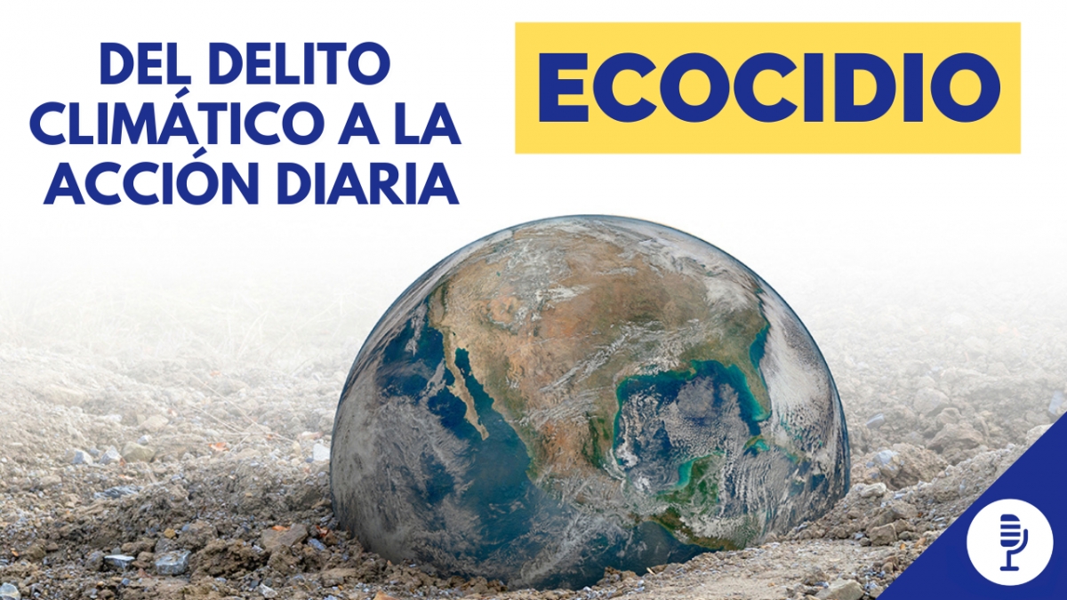 Ecocidio: del delito climático a la acción diaria