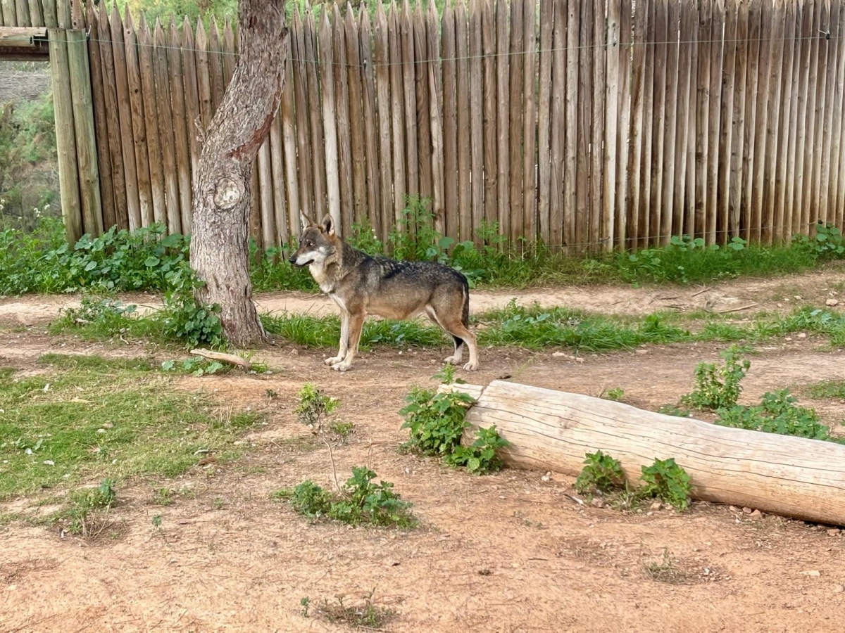  - Foto: AYTO. MURCIA